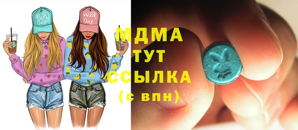 крисы Надым