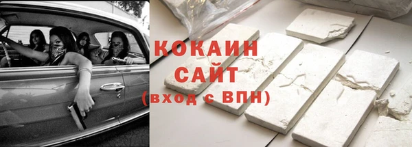 крисы Надым