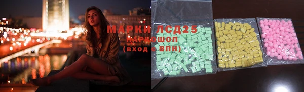крисы Надым