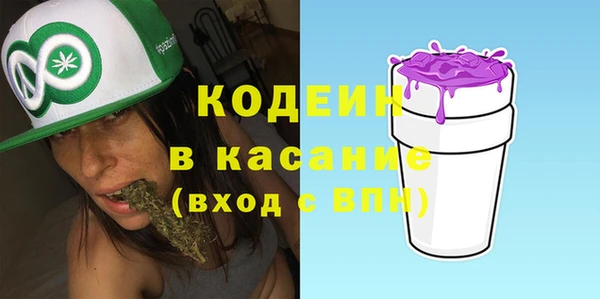 крисы Надым