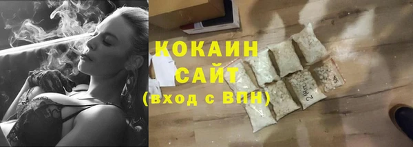 крисы Надым