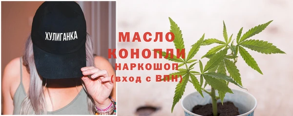 крисы Надым