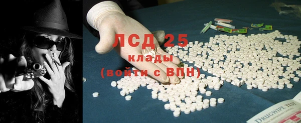 крисы Надым