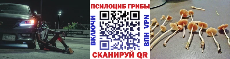 Псилоцибиновые грибы GOLDEN TEACHER  это телеграм  Пучеж 
